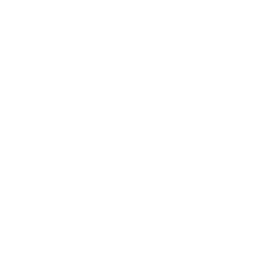Logo ESSEC blanc